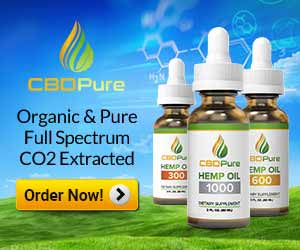 CBD Pure Hemp Oil 600